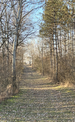 Nyugodt Széchenyiváros