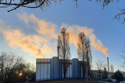 Vetési varjak képsorozat