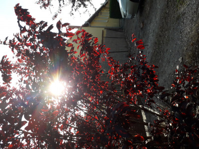 Lehet akár ez szép is