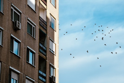 Külső szemlélőként